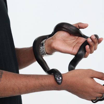 Signification Du Collier Serpent