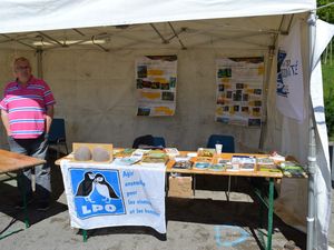 Festival de l'Environnement et Brocante à Algrange en 2017