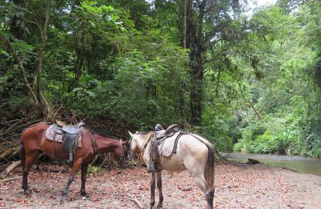 Randonnée à cheval