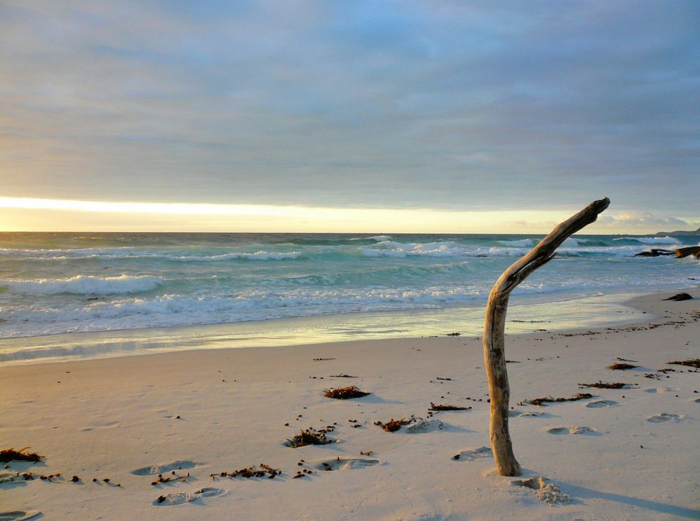 Album - Australie-Tasmanie