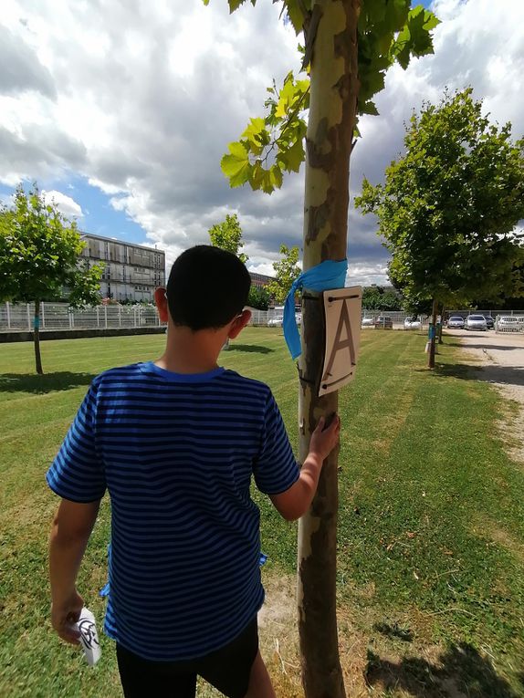 Les voeux bleus: installation d'une quarantaine de voeux sur les arbres du Parc 