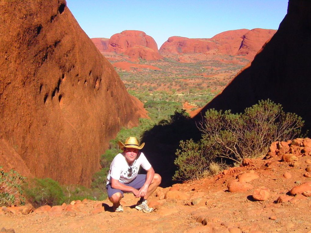 Album - The-Ultimate-Oz-Experience-2--Outback--The-Olgas---Ayers-Rock---Kings Canyon