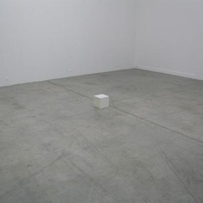 Inside the white cube (Yann serandour), Superdome au Palais de Tokyo