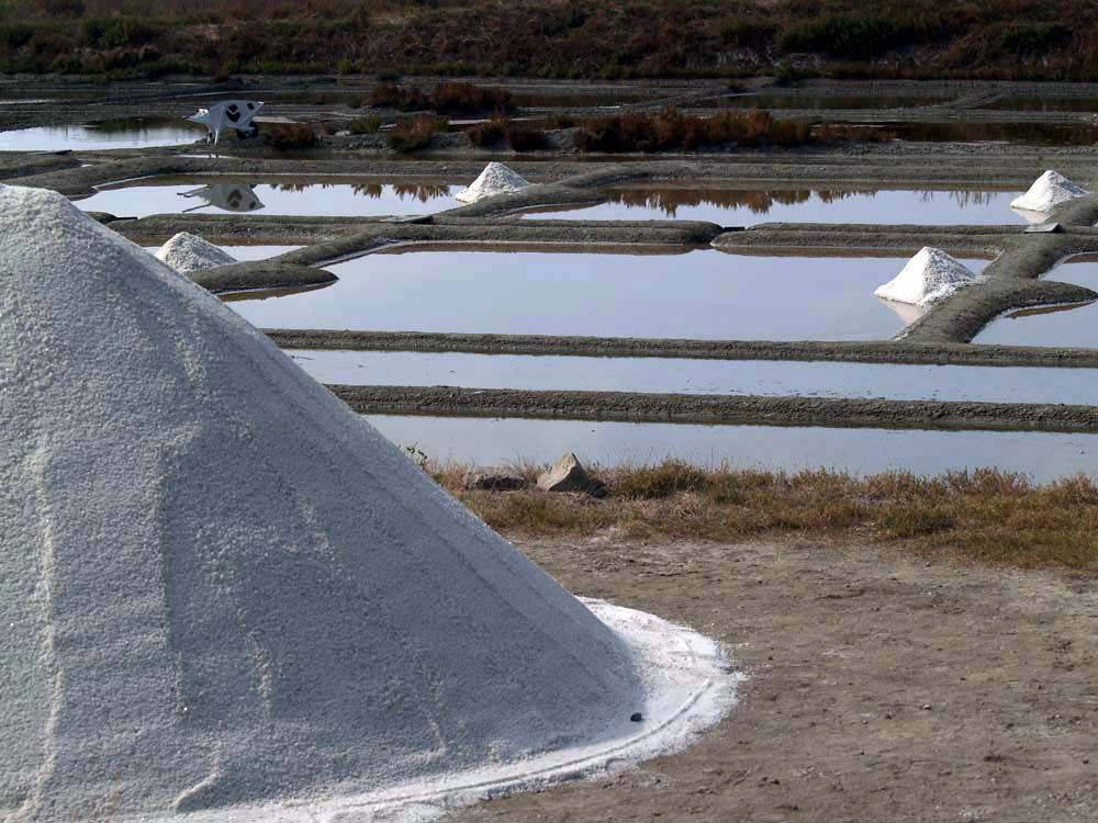 Album - Les Marais-salants de Guerande