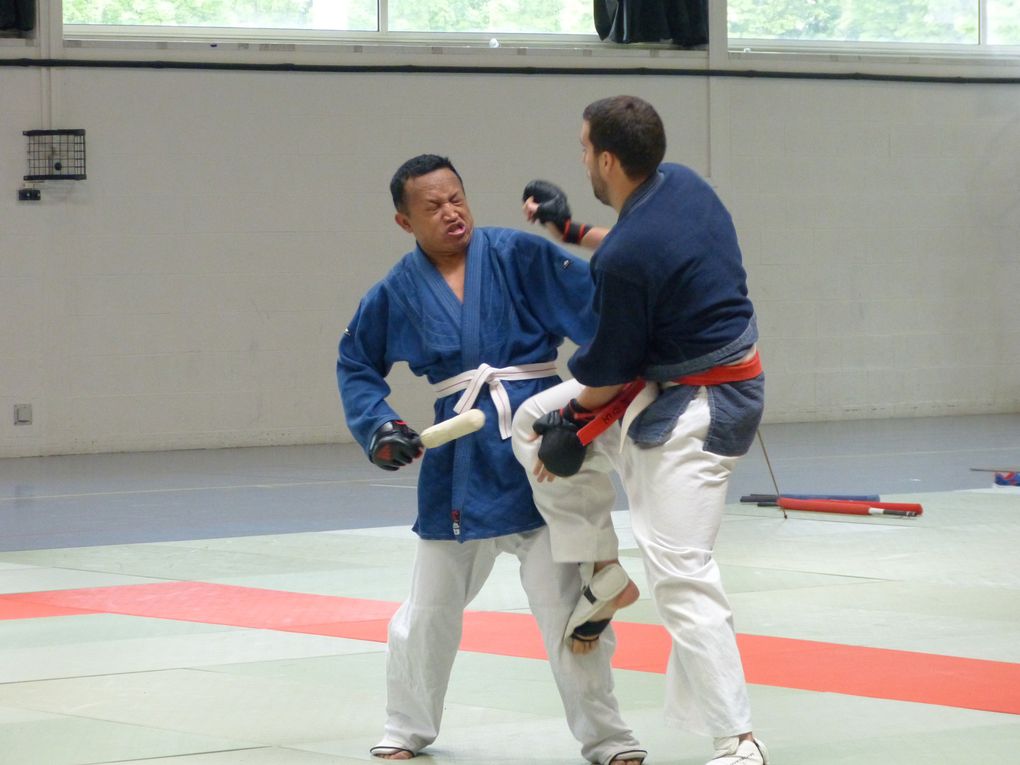 2e partie des photos de la compétition de Nihon Budo du 10 mai 2015 au gymnase des droits de l'Homme à Guyancourt.