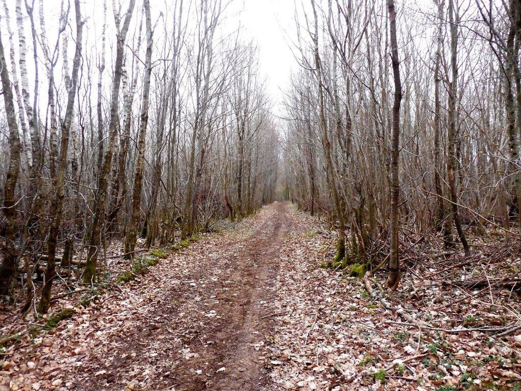 Rando Santé® : de Combles vers le chemin des poètes