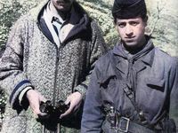 Guerre d'Algérie , Mémoire, Documentaires &amp; Reportages (inédits) sur la révolution Algérienne