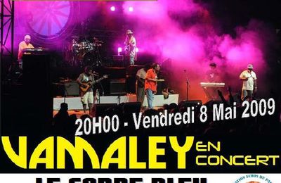 L'affiche du concert VAMALEY et Paul Wamo à Poitiers