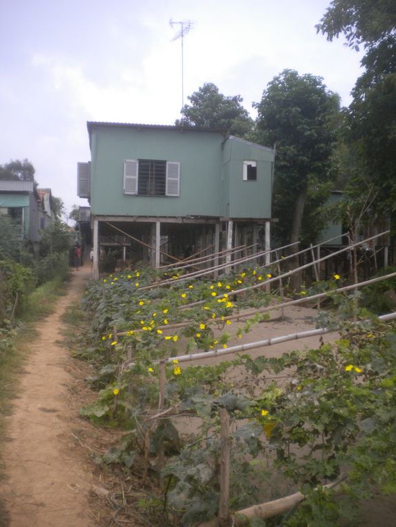 Le delta du Mékong (My Tho, Can Tho, Chau Doc)