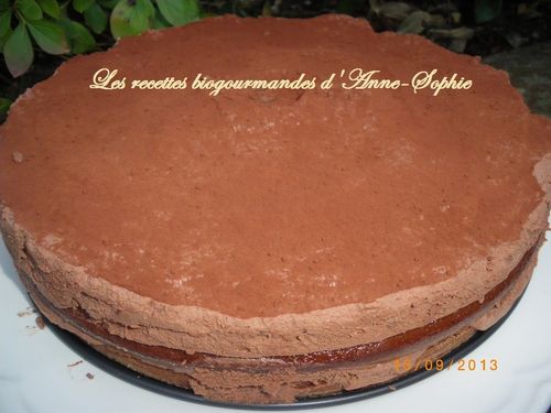 Gateau A La Creme Chantilly Au Chocolat Les Recettes Biogourmandes D Anne So