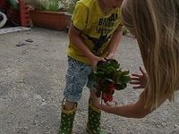 Nouveaux animaux et petit jardin - L'enfant et la nature