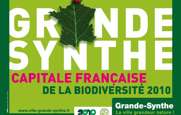 Grande-Synthe: Capitale française de la biodiversité mais pas de l'économie.