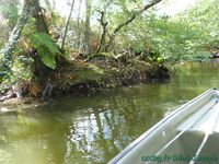 Courant d'Huchet, Etang de Léon Escapade landaise, 2018 (Camping-car-club-Beauce-Gâtinais)