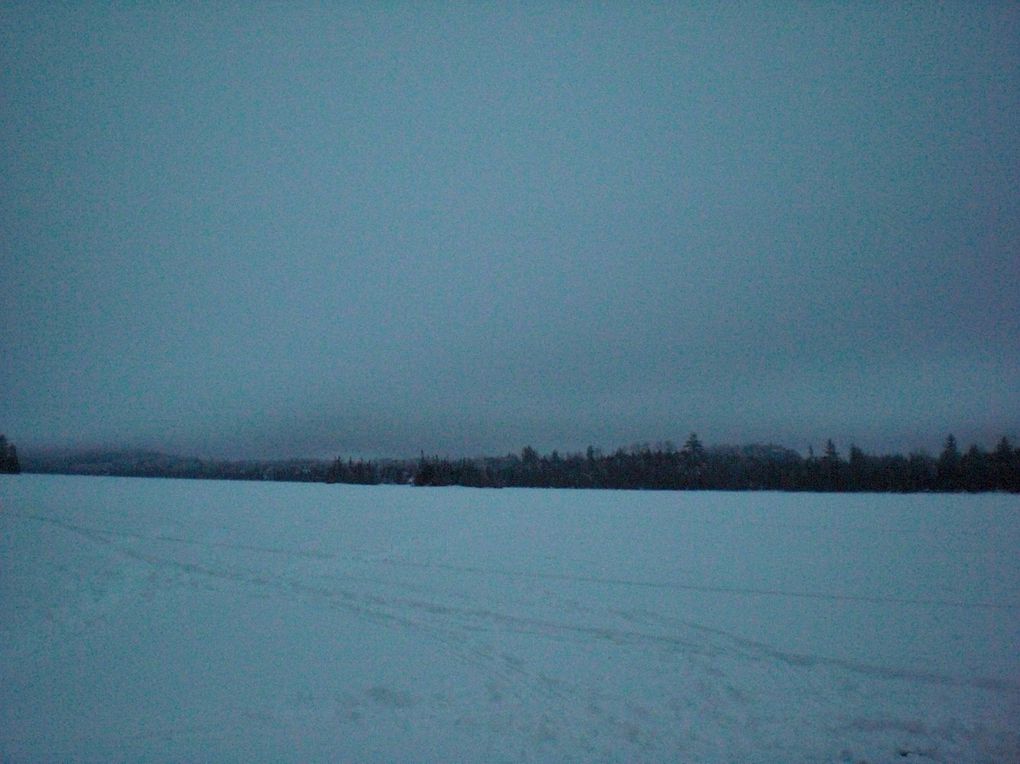 du 2 février au 5 février 2012