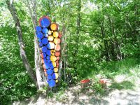 Dans la forêt, "1000 rencontres au coin du bois", "m'a muse" et "la voix de la forêt".