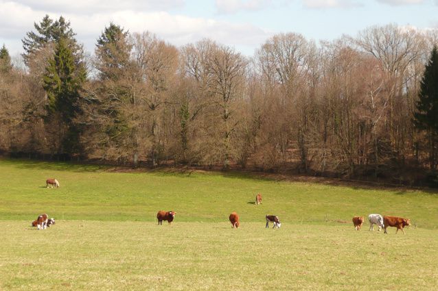 Album - La-ferme-dans-son-paysage