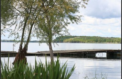 Autour du lac du Der