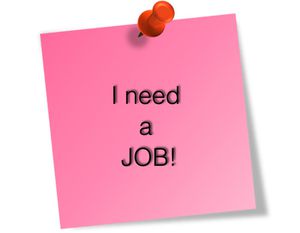 I need a Job !!!!