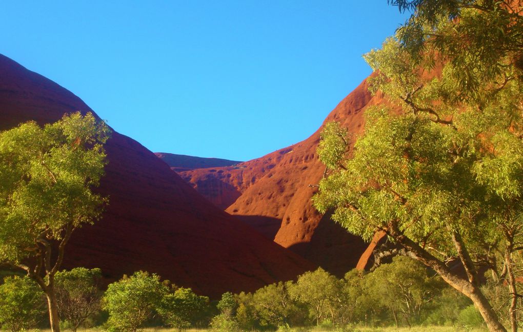 Album - 12.-Central-Australia