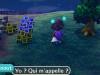 Le vingt deuxième jour :