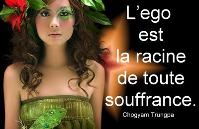 Citation en image (bouddhiste)