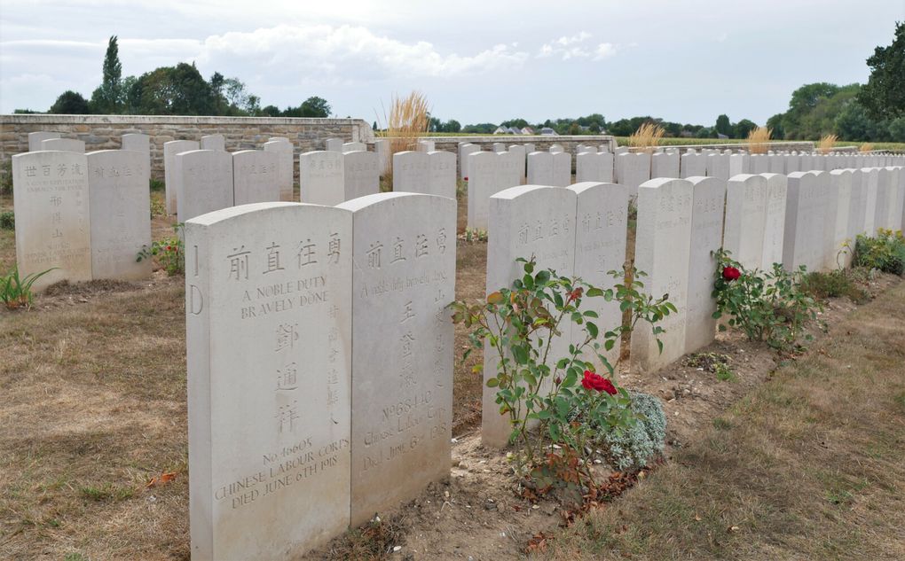 Ce sont de pauvres pékins, seulement des numéros, que les Alliés sont allés chercher en Asie pour qu'ils servent non pas de chair à canon, mais de main d'oeuvre à tout faire, derrière le front en 1914-1918. Beaucoup sont morts sur place, de fatigue, de maladie 