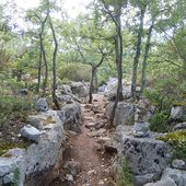 Chemins de traverse - La minéralité expliquée aux cailloux