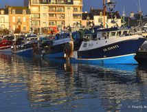 Les bateaux de pêche de La Turballe - Loire-Atlantique