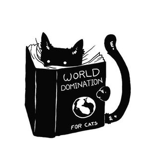 Articles Populaires Des Chats Des Livres Over Blog Com