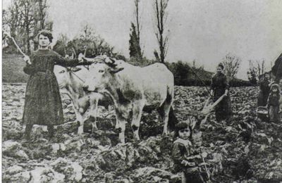 Les femmes d'agriculteurs