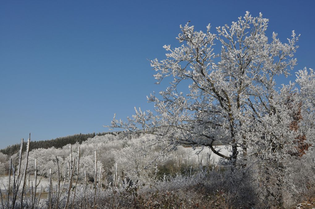 Album - Premieres neiges