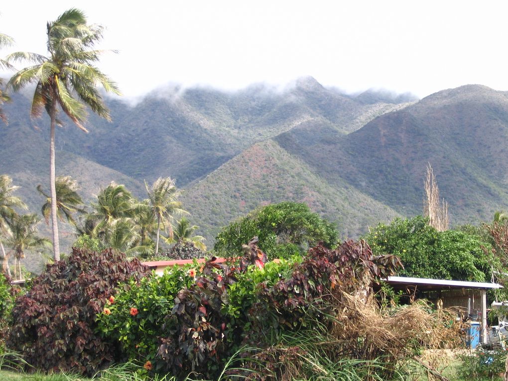 Danse pilou, Bougna, mangrove, Manou, case traditionnelle, fleurs d'Hibiscus, de Tiaré...