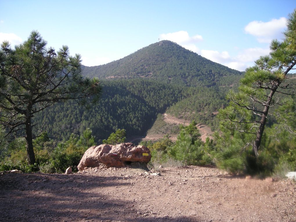 Album - Trail-off-de-l-Esterel-nord-16-01-11