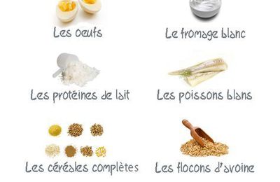 Oligochètes régime alimentaire