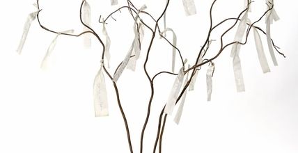 30 ans c'est pas vieux, pour un arbre