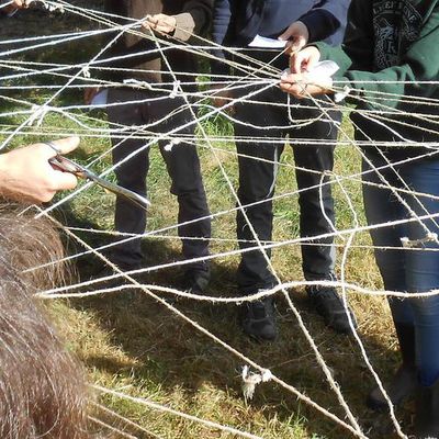 Ville-comestible: la permaculture?