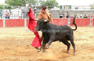 Féria d'Azille 2015 : La Becerade