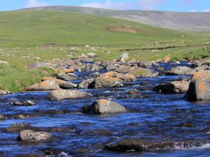 Mongolian pieces of life in the Naiman Nuur - Part 2