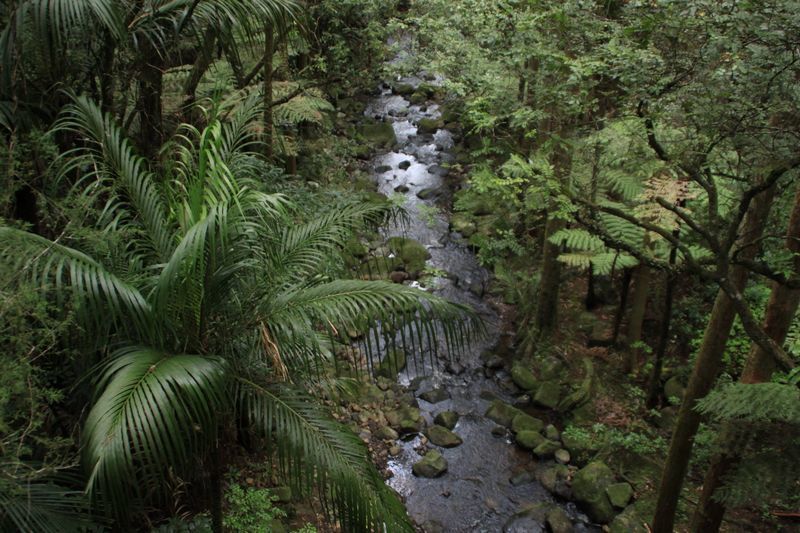 Album - 18 - Whangarei