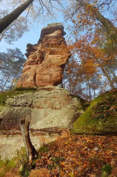 Dambach, rocher de l'Homme et de la Femme, château de Schoeneck 15-11-2017