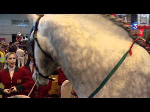 SIA 2012:Chevaux de trait