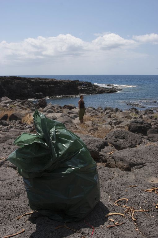Méthode de suivi environnemental au Cap la Houssaye (Réunion) permettant d’évaluer l’état de santé d’un récif et de détecter des changements
écologiques liés à des perturbations naturelles ou humaines.