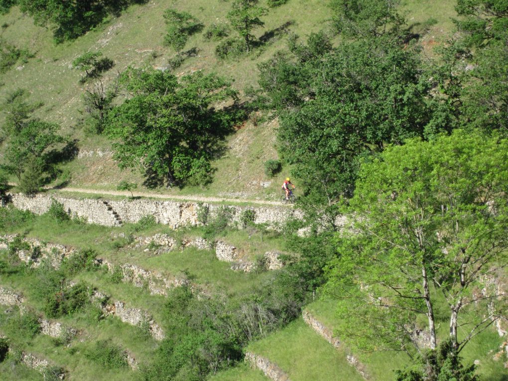 Album - Sur-la-tarce-du-chevre-feuille