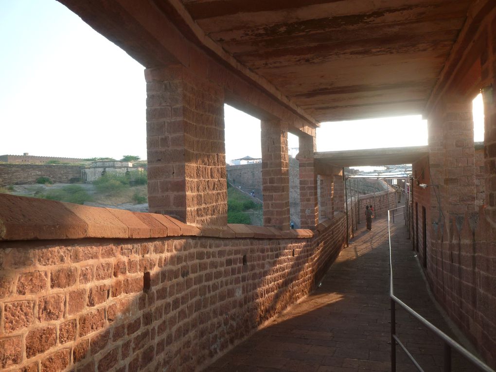 Album - Jodhpur, la Ville bleue