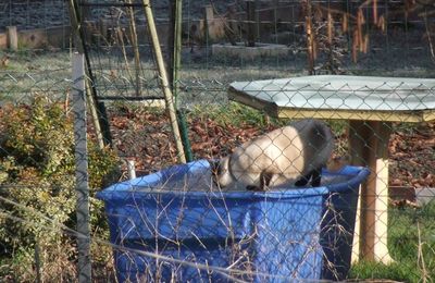 un visiteur au jardin