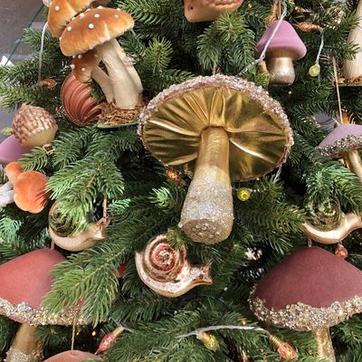 Les champignons sont en fête