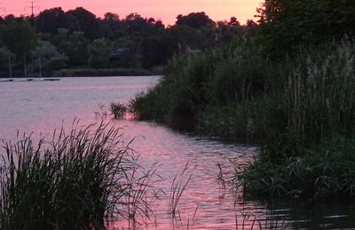 Lac Créteil - coucher de soleil