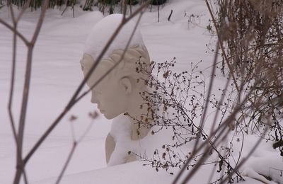 A woman of snow