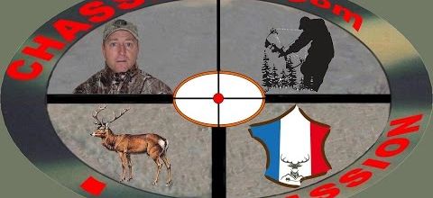 chasse daguet