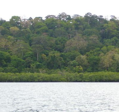 Îles Andaman : part 3